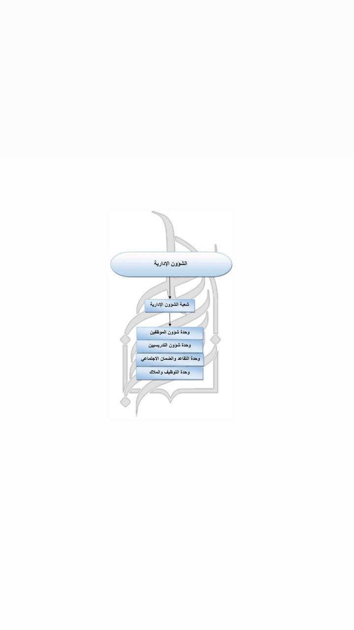 هيكلية القسم 
